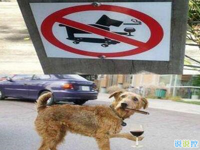 有趣值得的轉發(fā)的說說，朋友圈有趣的說說