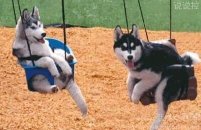 關(guān)于搞笑的說(shuō)說(shuō)，關(guān)于搞笑的句子