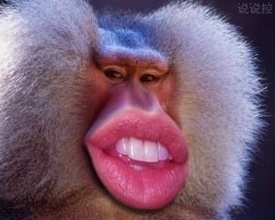 2018搞笑說(shuō)說(shuō)大全