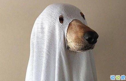 校園搞笑說說青春活力十足 生氣的時候千萬別沖我笑2