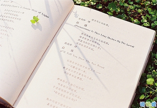 2019最火爆網(wǎng)易云音樂熱評(píng)短句大全 網(wǎng)易云音樂熱評(píng)關(guān)于愛情2