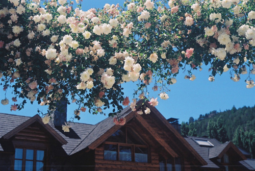 很喜歡對(duì)方的粉色少女心甜蜜溫暖的愛情說說大全1