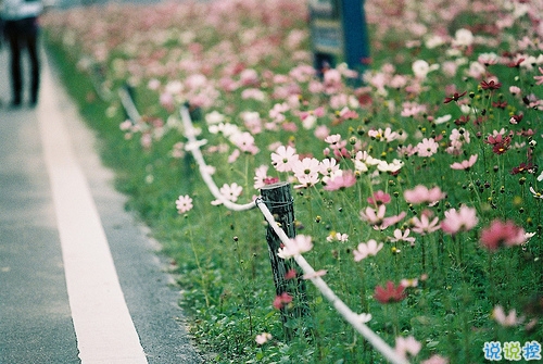 2018最后一天對(duì)自己說(shuō)的話經(jīng)典版 致即將逝去的2018！2