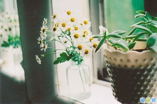 2019結(jié)婚紀念日朋友圈說說大全 結(jié)婚紀念日一句話經(jīng)典說說1