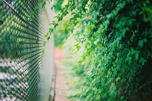 愛情中的孤獨(dú)寂寞說說 每個(gè)人都曾在愛情中流淚的傷感說說1