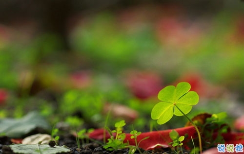 2019年元旦倒計(jì)時說說心情短語 元旦發(fā)微信朋友圈的經(jīng)典說說2