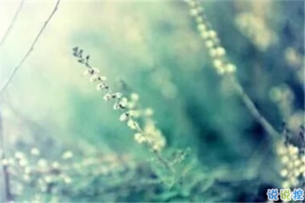 抖音經(jīng)典好聽(tīng)的愛(ài)情說(shuō)說(shuō) 心有多近那么距離就有多近2