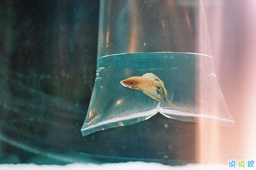 長大了才會懂得的道理說說 幾年前你不懂現(xiàn)在懂得的道理大全1