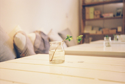 關(guān)于愛(ài)情的經(jīng)典說(shuō)說(shuō) 有些愛(ài)只能止于唇齒掩于歲月2