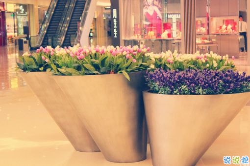 適合跨年夜發(fā)的個(gè)性說說 2019跨年說說暖心話語艾特對(duì)象2