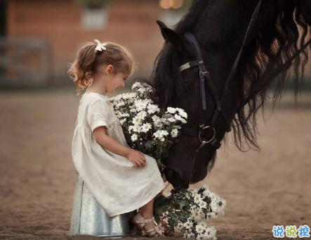 愛(ài)情傷感說(shuō)說(shuō)看完哭了那種 這一路走來(lái)的愛(ài)情心酸說(shuō)說(shuō)20181