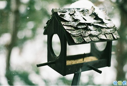 關(guān)于愛情的文藝?yán)寺恼f說 很甜很撩人的愛情說說2