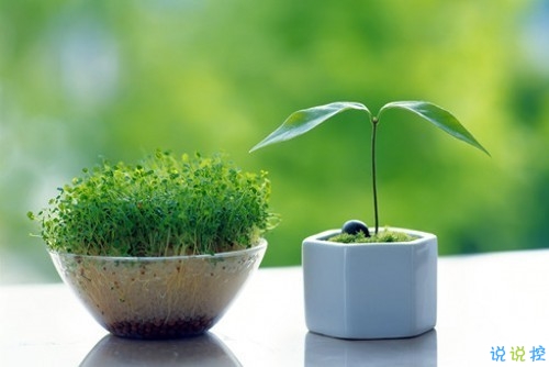 2019小年夜勵(lì)志說說大全 小年夜發(fā)朋友圈的勵(lì)志說說最佳1