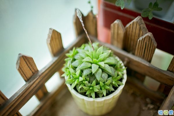 網(wǎng)易云音樂熱評(píng)語錄短語精選2019 我勸你早點(diǎn)喜歡我免得浪費(fèi)時(shí)間1