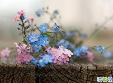 2019四月微信說說心情短語 四月你好一句話說說1