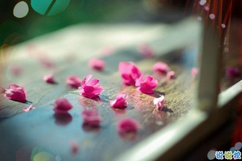 生活很現(xiàn)實(shí)的說(shuō)說(shuō)經(jīng)典句子 多些付出少些期待1