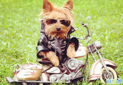 女人不花心，又怎么對(duì)得起貌美如花2