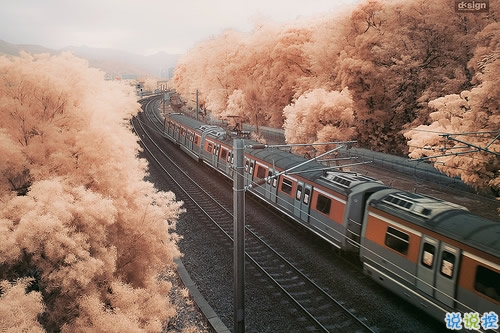 簡單一句話經(jīng)典說說人生哲言 前進的腳步從未停止的人生經(jīng)典說說1