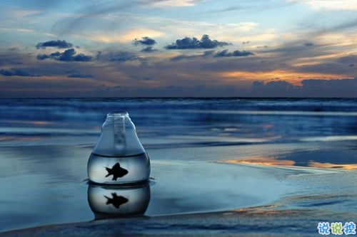 2019新年說(shuō)說(shuō)表白大全 新年表白男朋友的情話合集2