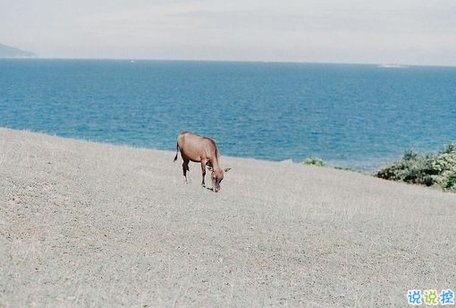 比較特別的女生說說2019精選帶圖片 忍不住想點贊的女生說說8
