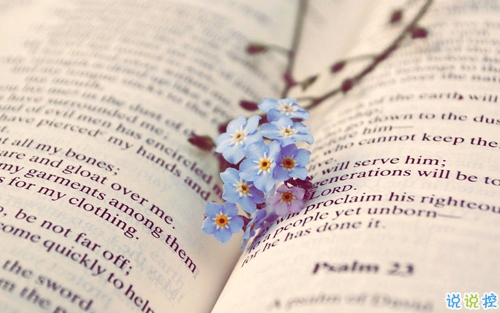 2019最真摯走心的愛情說說 讓人感動(dòng)淚目的情話合集2