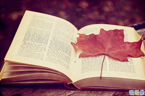 簡(jiǎn)單平凡的愛情說說大全最新版 只想和你擁有小幸福說說1