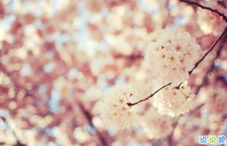 適合這個年紀發(fā)的說說朋友圈 簡單又走心的心情說說引人共鳴1