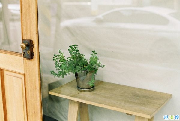 網(wǎng)易云音樂熱評(píng)語錄短語精選2019 我勸你早點(diǎn)喜歡我免得浪費(fèi)時(shí)間2