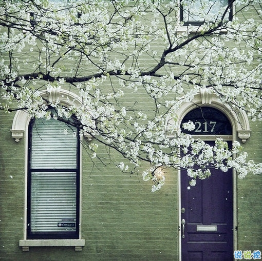 森系小清新文藝范簡單的一句話經(jīng)典說說 很有道理也有韻味的復(fù)古說說1