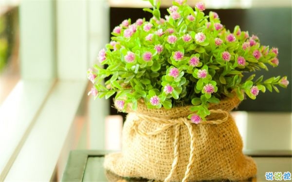 2019出去玩發(fā)朋友圈的心情說(shuō)說(shuō) 讓心靈去旅行說(shuō)說(shuō)2