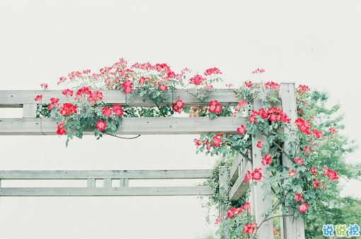 提起愛情就想哭的傷感說說 關于感情的傷感愛情說說1