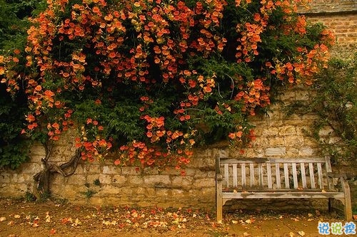 2019最新周末出去玩的心情說說 春暖花開外出游玩發(fā)朋友圈的說說1