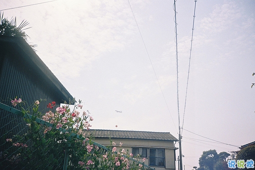 青春唯美文藝說(shuō)說(shuō)大全 關(guān)于我們逝去青春的經(jīng)典文藝說(shuō)說(shuō)2