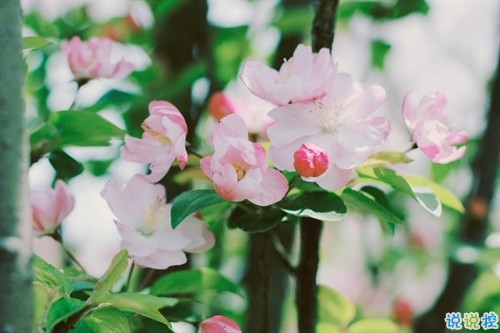 最新微信唯美說(shuō)說(shuō)大全女生專(zhuān)屬 女生都愛(ài)的文藝小清新心情說(shuō)說(shuō)1