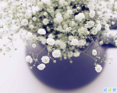 甜到炸的愛情小情話說說大全 很甜很暖心的愛情說說2