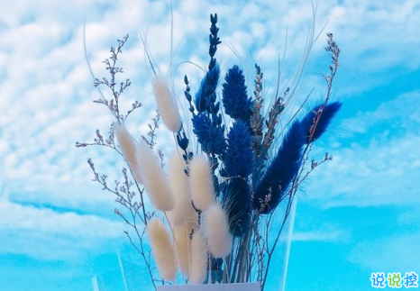 值得收藏的好詞好句適合發(fā)朋友圈 留下你很喜歡的一段話3