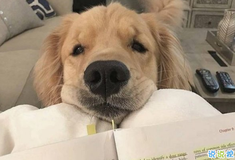 有自信的超拽說說00后：長話短說希望你喜歡我3