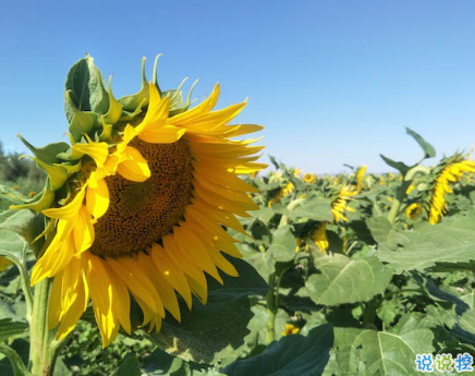 2018九月你好唯美經(jīng)典說說精選 八月再見九月你好明天會(huì)更好1