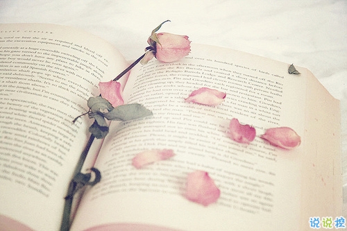 微信朋友圈感動說說心情短語 哪來的狗屁好脾氣全是因為我喜歡你1