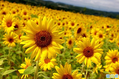 人生感悟說說剪短一點(diǎn)的 經(jīng)歷成長(zhǎng)的經(jīng)典說說合集1