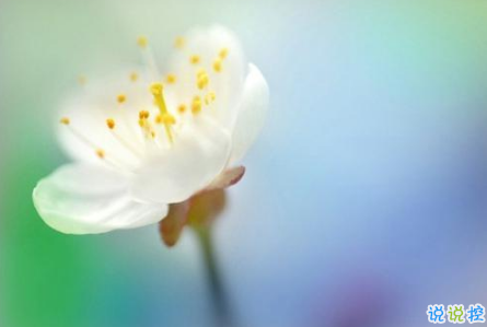 適合這個年紀發(fā)的說說朋友圈 簡單又走心的心情說說引人共鳴2