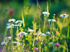 朋友圈個(gè)性說說簡單一句話 趁著年輕把能干的壞事干了吧