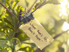 今天心情很好的說說短句 微信朋友圈開心快樂的說說