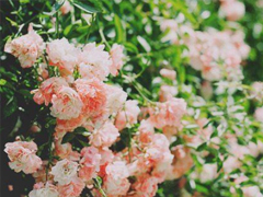 2019四月微信說說心情短語 四月你好一句話說說