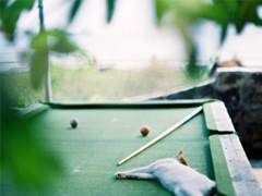 2019豬年除夕祝福語(yǔ)說(shuō)說(shuō)簡(jiǎn)短 致所有人的豬年暖心祝福