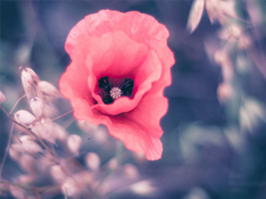 2019最新三月心情說說有點(diǎn)傷感 心里不是滋味的說說短句