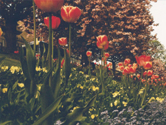 晚安心語正能量簡簡單單一句話 晚上睡覺前朋友圈來一句雞湯