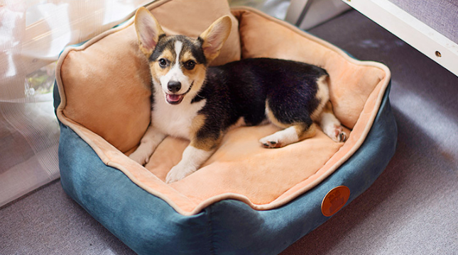 光棍節(jié)一個(gè)人過(guò)的霸氣微信說(shuō)說(shuō) 雙11來(lái)自單身狗的怒吼