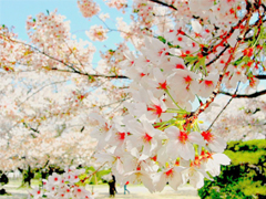 一句話描述90后的生活和心理狀態(tài) 90后對(duì)生活無(wú)奈的心情說(shuō)說(shuō)