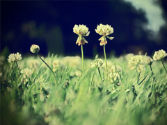 簡單美好的個性說說超級暖心 2019請多指教